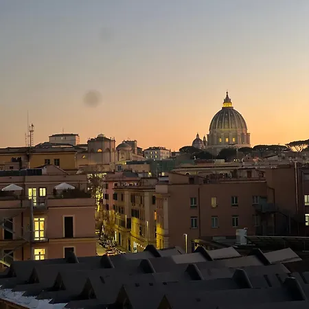 Dome View