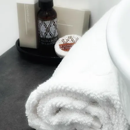 住宿加早餐酒店 Dome View *